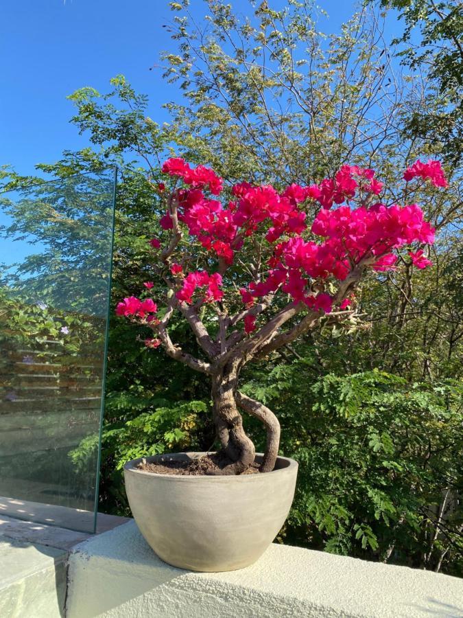 Origo Hotel Boutique Santa Marta  Eksteriør billede